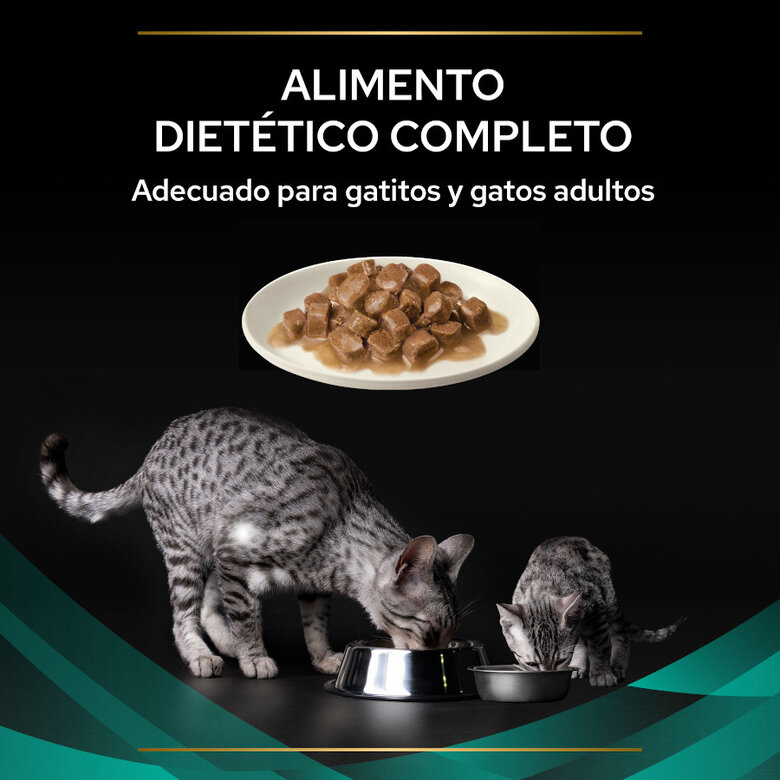10 sobres x 85 g Pro Plan Veterinary Diets Feline En Gastrointestinal Salmón en Salsa sobre para gatos,  Imagen numero 4 10 sobres x 85 g Pro Plan Veterinary Diets Feline En Gastrointestinal Salmón en Salsa sobre para gatos, , large Imagen numero 4